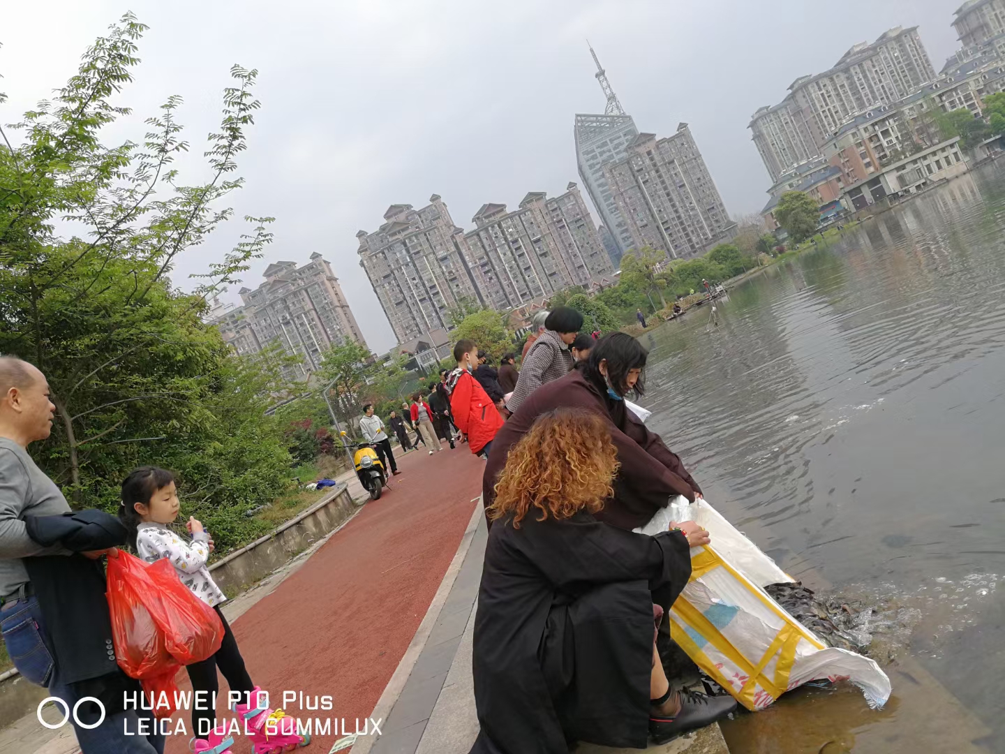 2468顺发彩票准提菩萨圣诞日法会通启